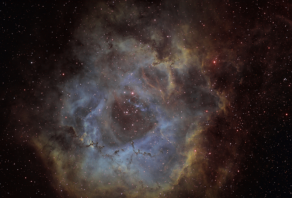 Nébuleuse de la Rosette NGC 2244